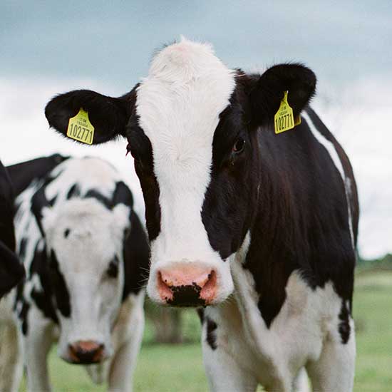 Наши услуги